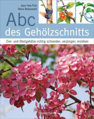 abc_des_gehoelzschnitts