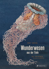 wunderwesen_aus_der_tiefe