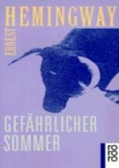 gefaehrlicher_sommer