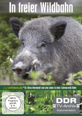 in_freier_wildbahn_wildschwein_ehrenhalber