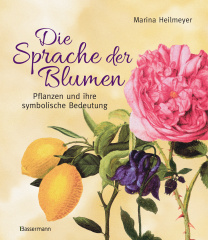 die_sprache_der_blumen