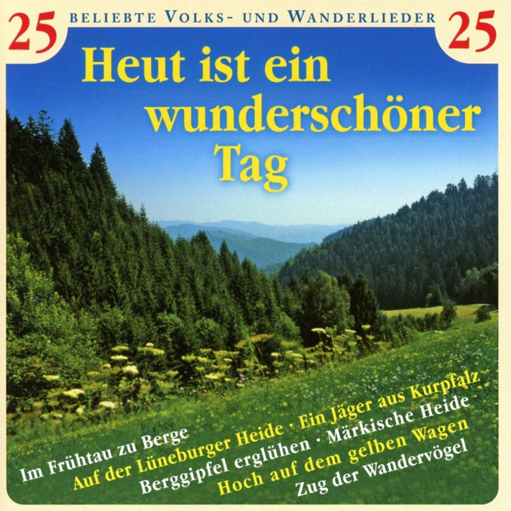 4051569215721 - Heut Ist Ein Wunderschöner Tag - Diverse Chöre und Solisten (CD)