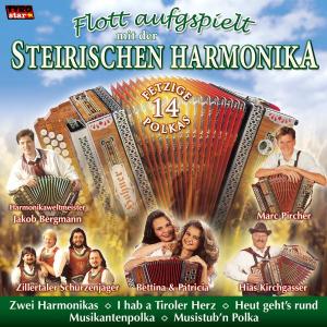 9003549774105 - Flott aufgespielt mit der Steirischen Harmonika