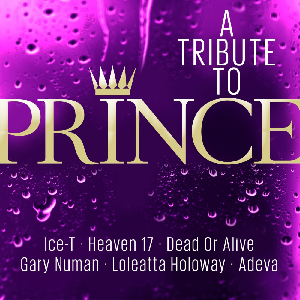 0090204694273 - Tribute To Prince