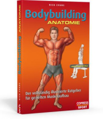 bodybuilding_anatomie