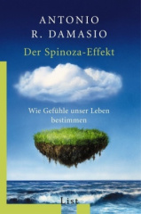 der-spinoza-effekt