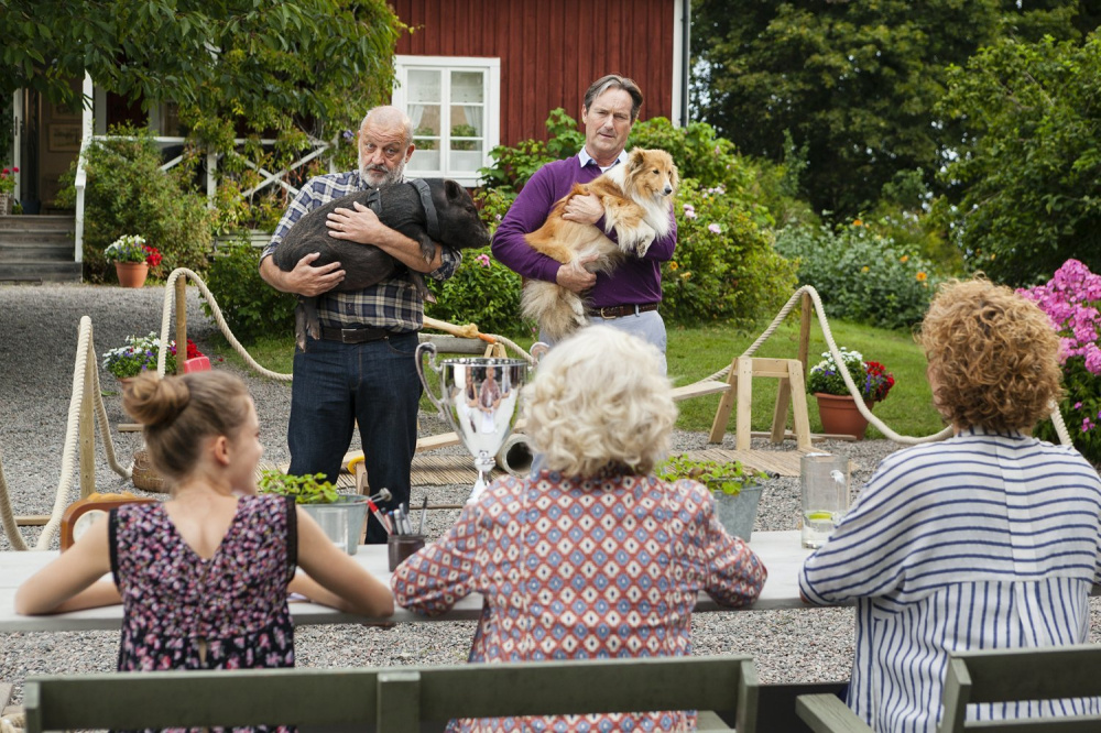 Inga Lindström Collection 21