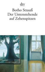 der_untenstehende_auf_zehenspitzen