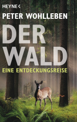 der_wald