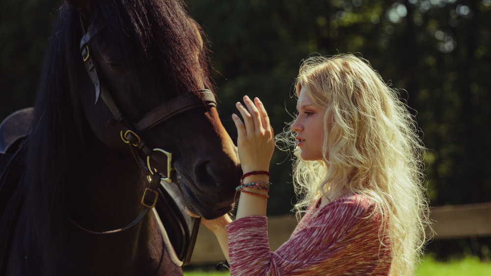 Armans Geheimnis - Der Film