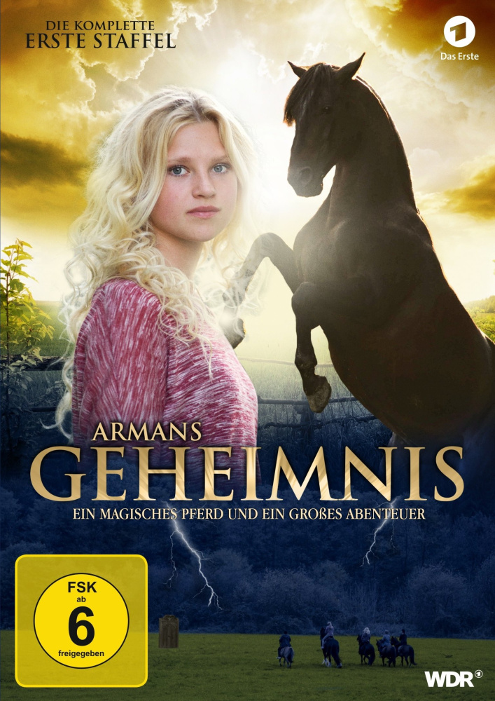 4042999129009 - Sinje Irslinger - GEBRAUCHT Armans Geheimnis - Die erste Staffel in Spielfilmlänge - Preis vom 02062023 050629 h