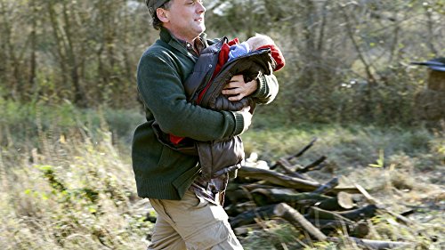 Die Zeit der Kraniche