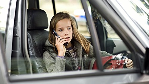 Die Zeit der Kraniche