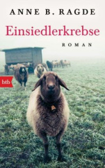 einsiedlerkrebse