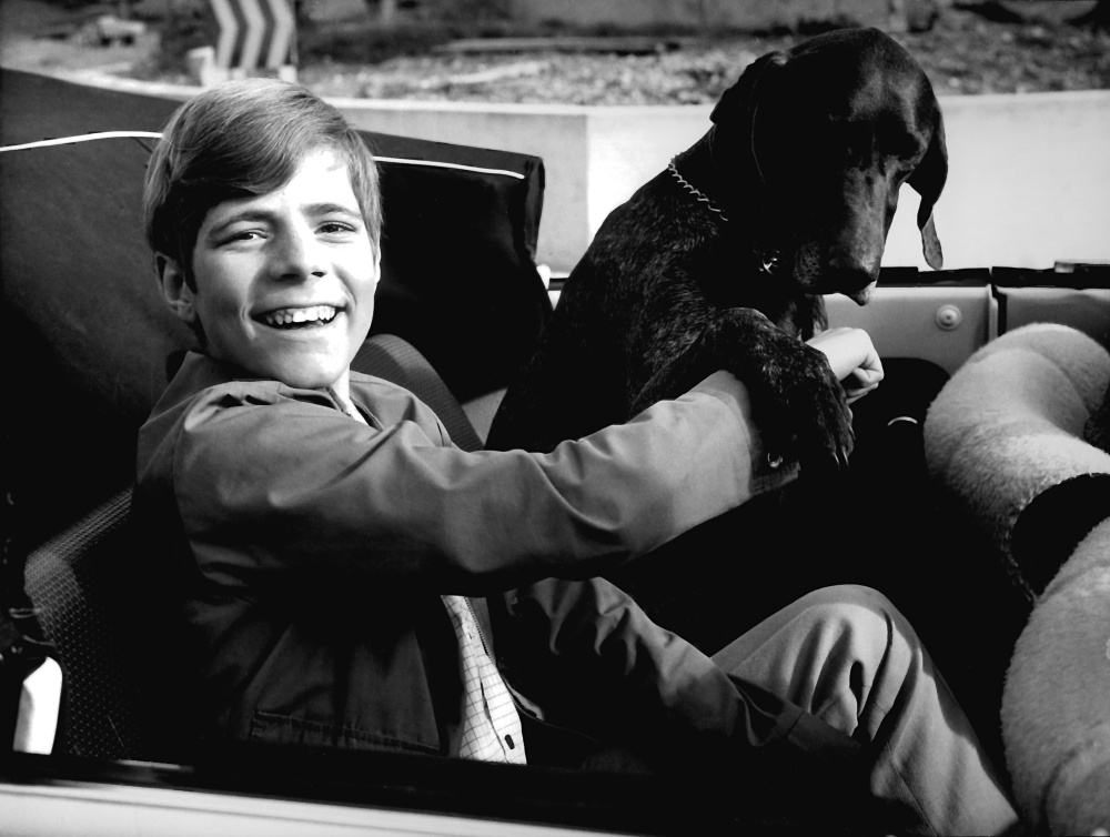 Die Lümmel von der ersten Bank