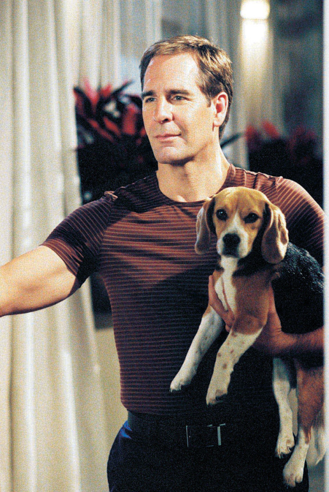 Star Trek: Enterprise - Die komplette Serie