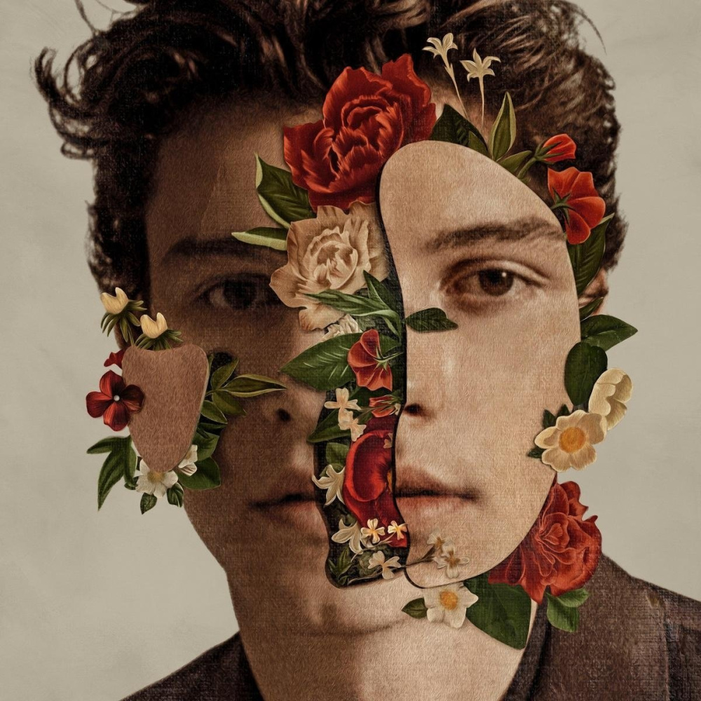 0602567550891 - Shawn Mendes - Shawn Mendes (CD)