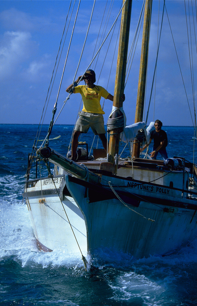 Der weisse Hai 4 - Die Abrechnung