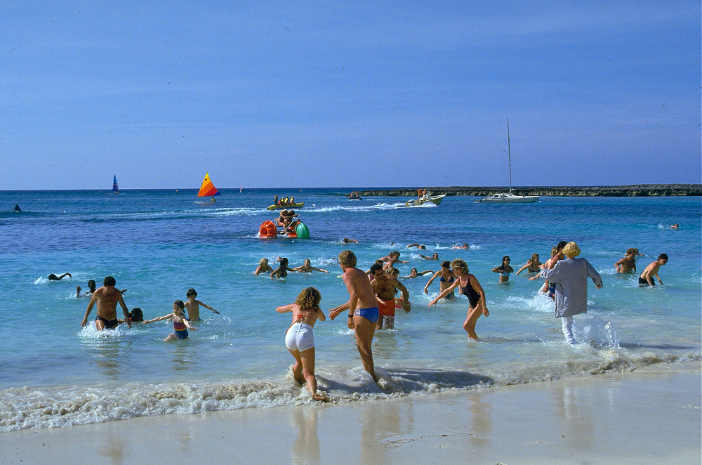 Der weisse Hai 4 - Die Abrechnung