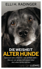 die_weisheit_alter_hunde