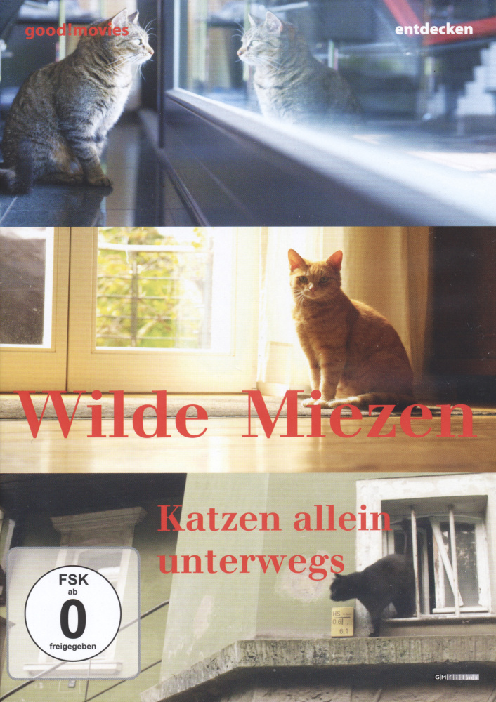 4260065524408 - Wilde Miezen - Katzen allein unterwegs (DVD)