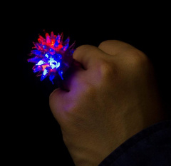 daniela_alfinito_ledring