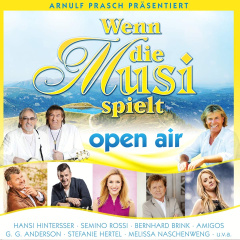 wenn_die_musi_spieltsommer_open_air