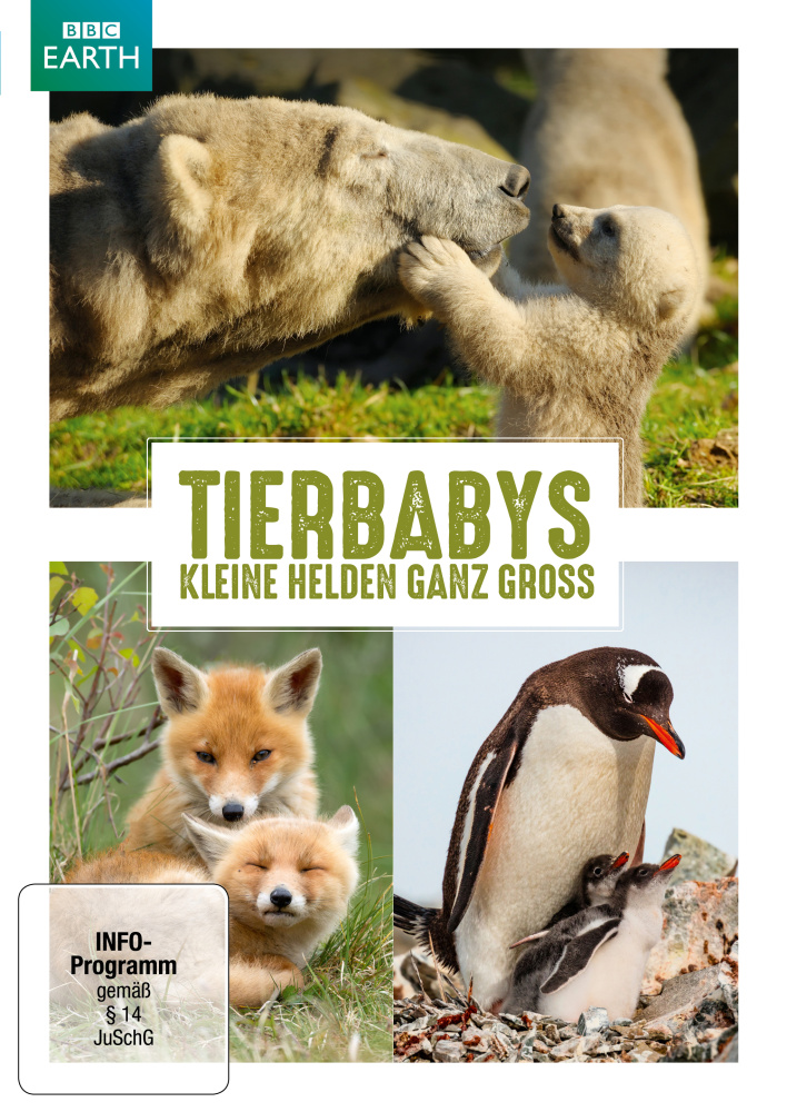 4250148714598 - Tierbabys - Kleine Helden Ganz Groß