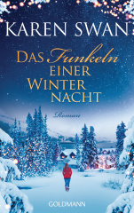 das_funkeln_einer_winternacht