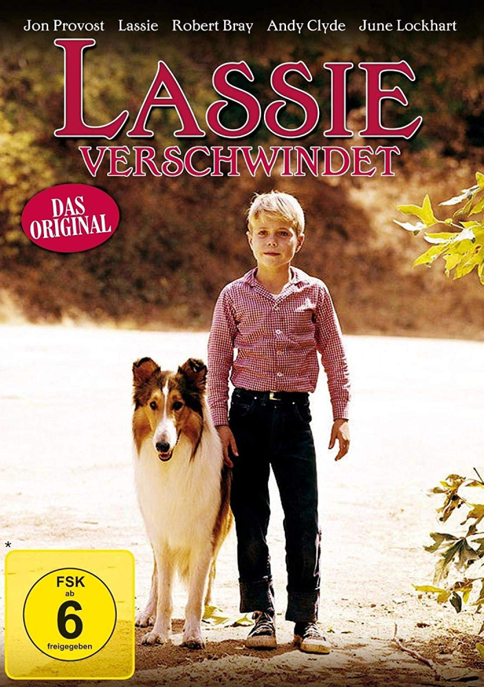 9120052898156 - Lassie verschwindet (DVD)