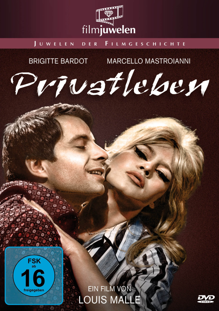 4042564199871 - Privatleben (DVD)