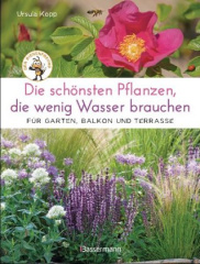 die_schoensten_pflanzen_die_wenig_wasser_brauchen_fuer_garten_balkon_und_terrasse