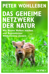 das_geheime_netzwerk_der_natur