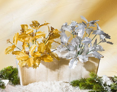 balkonkastenfuellung_ilex_2tlg