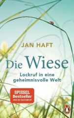 die_wiese