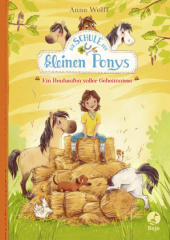 die_schule_der_kleinen_ponys_ein_heuhaufen_voller_geheimnisse