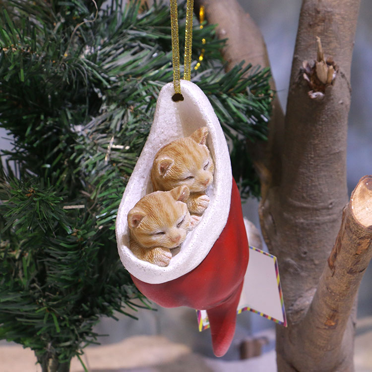Katzenbabys in Weihnachtsmütze