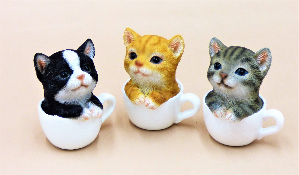 Kätzchen-Trio in Tasse