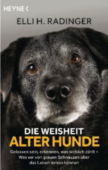 die_weisheit_alter_hunde