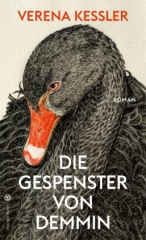 die_gespenster_von_demmin