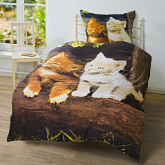 _mikrofaser_bettwaesche_kaetzchen_2tlg