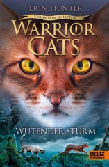 warrior_cats_vision_von_schatten_wuetender_sturm
