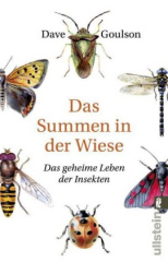 das_summen_in_der_wiese