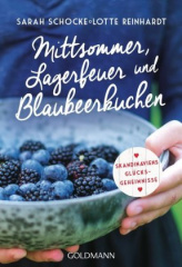 mittsommer_lagerfeuer_und_blaubeerkuchen