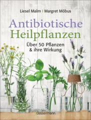 antibiotische_heilpflanzen