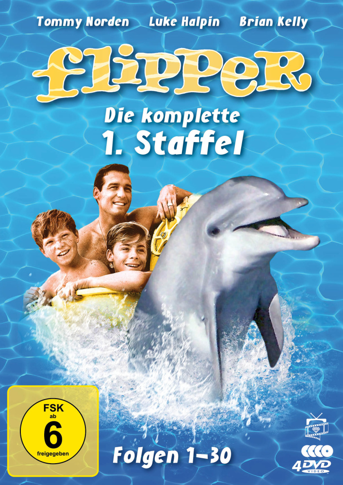 4042564209280 - Stanley Z Cherry - GEBRAUCHT Flipper - Die komplette 1 Staffel [4 DVDs] - Preis vom 09072023 043521 h