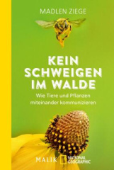 kein_schweigen_im_walde