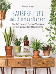 saubere_luft_mit_zimmerpflanzen
