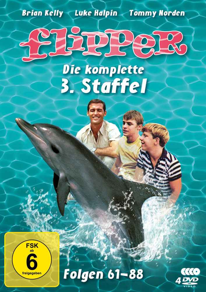 4042564211993 - Flipper - Staffel 3 (DVD)