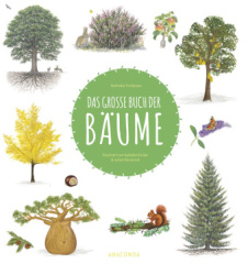 das_grosse_buch_der_baeume